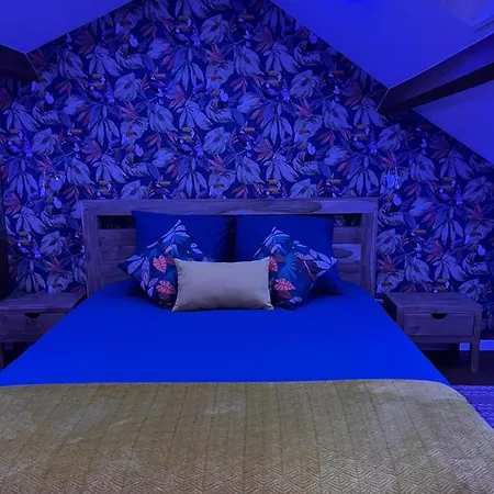 Justcozy Independante #4 *
